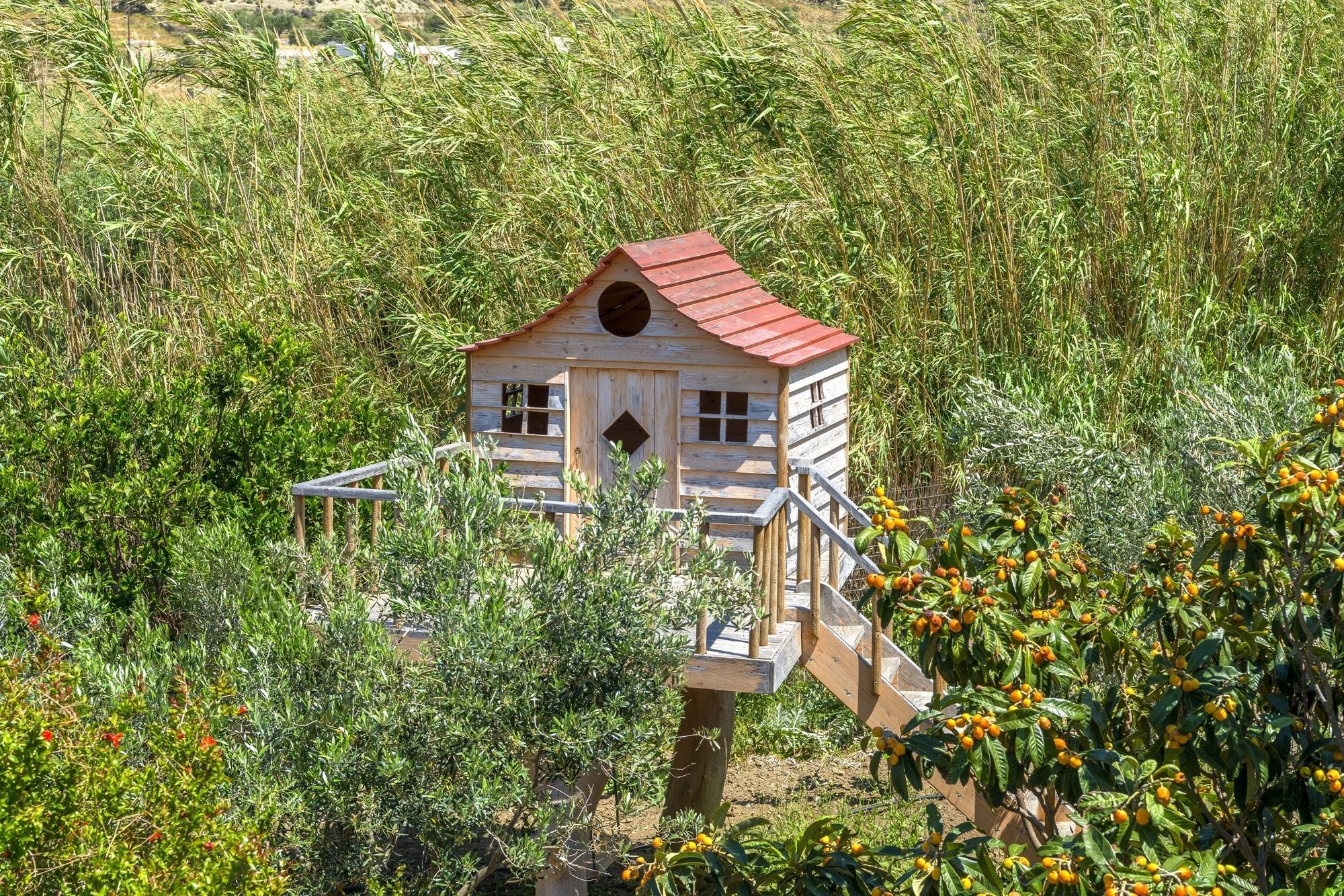 Villa Delona Engaraí المظهر الخارجي الصورة